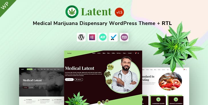 Latent – Medical Marijuana WordPress Theme